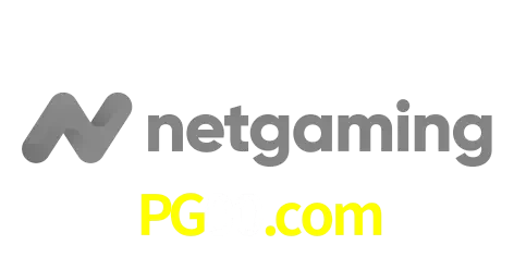 NetGaming